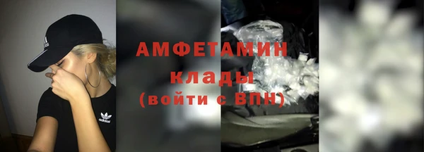 молекула духа Михайлов