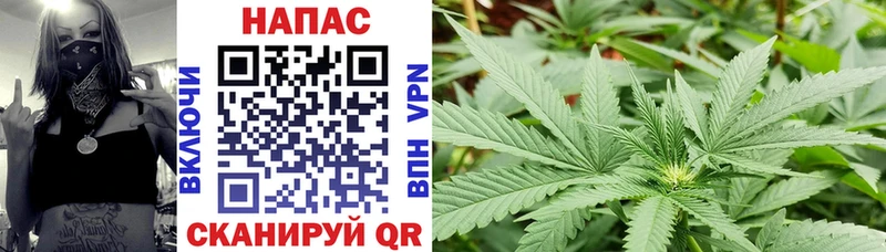 Шишки марихуана THC 21%  Кяхта 